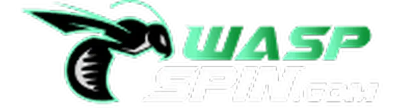 Waspspin สล็อต วิธีเลือกเกม RTP และโบนัส